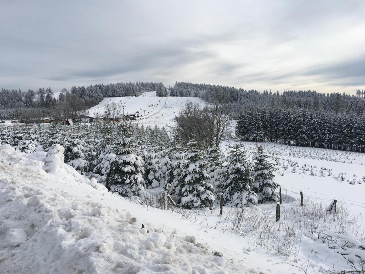 Cityappartement Feldstrasse Winterberg Ngoại thất bức ảnh